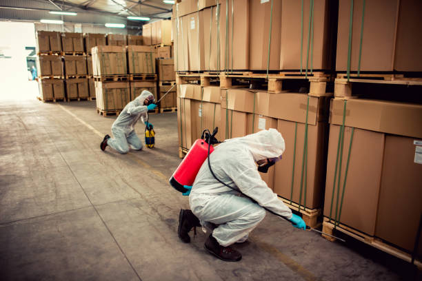 Wasp Removal Services in Canutillo, TX