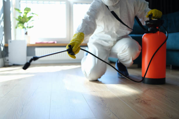 Best Commercial Pest Control Services  in Canutillo, TX