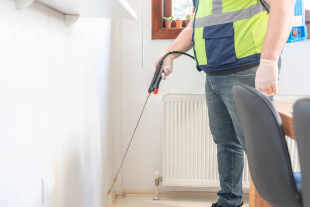 Trusted Canutillo, TX Pest Control Experts