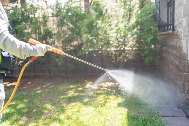 Best Affordable Pest Control Services  in Canutillo, TX