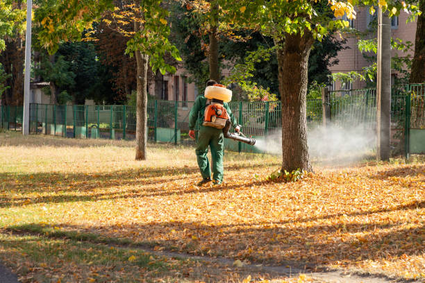 Pest Control for Restaurants in Canutillo, TX